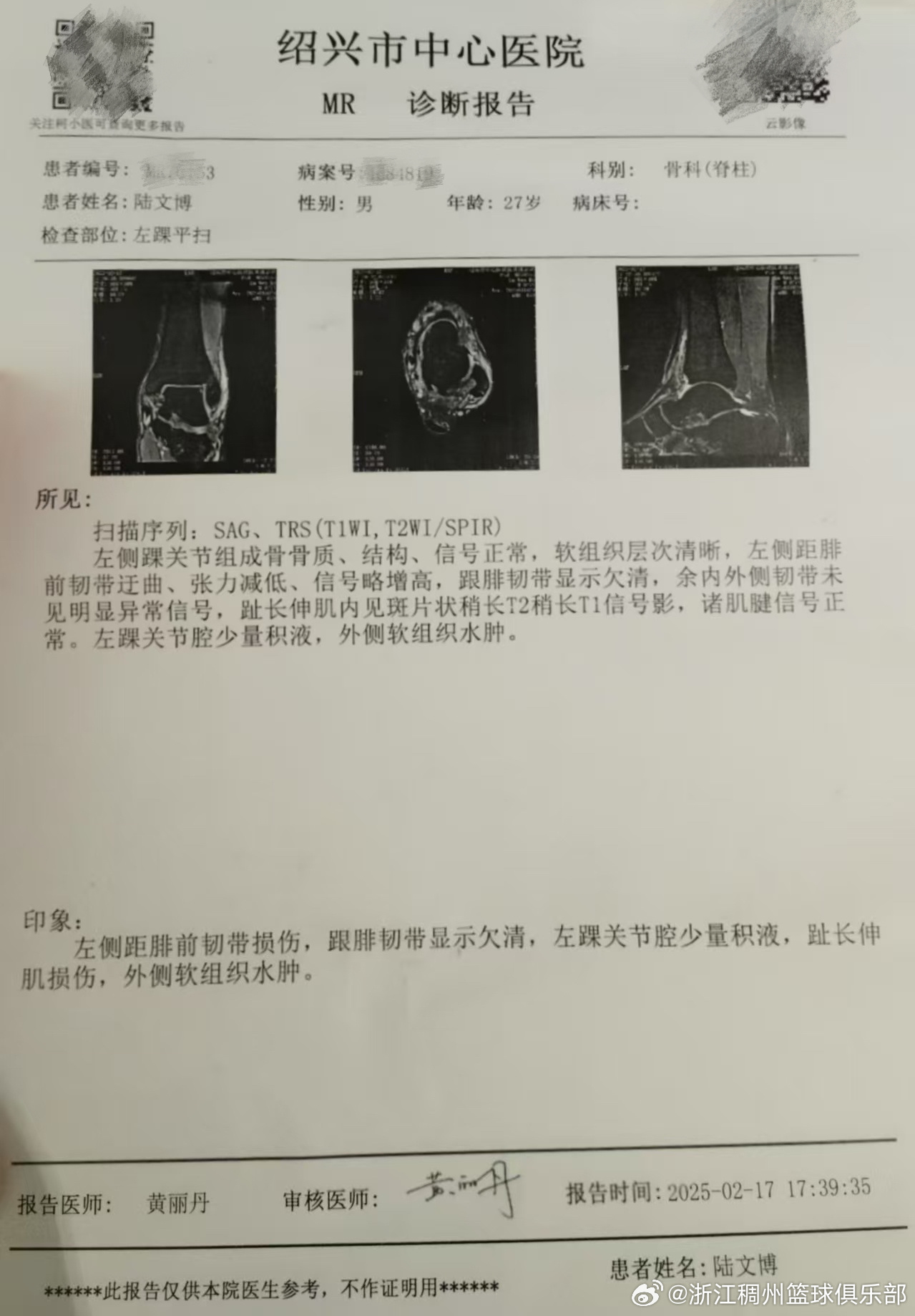 心向白的情